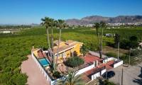 Sale - Finca - Orihuela