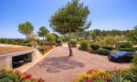 Sale - Finca - San Miguel de Salinas