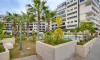 Sale - Penthouse - Dehesa de Campoamor