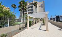 Sale - Penthouse - La Mata