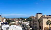 Sale - Penthouse - Playa Flamenca