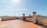 Sale - Penthouse - Playa Flamenca