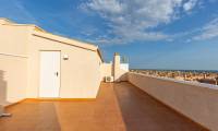 Sale - Penthouse - Playa Flamenca