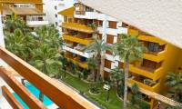 Sale - Penthouse - Punta Prima