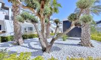 Sale - Penthouse - Punta Prima