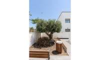 Sale - Penthouse - Torre de La Horadada