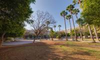 Sale - Penthouse - Torrevieja