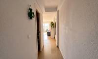 Sale - Studio - Guardamar del Segura