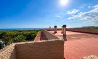 Sale - Studio - Guardamar del Segura