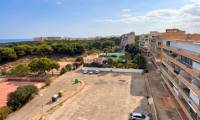 Sale - Studio - Guardamar del Segura