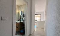 Sale - Studio - Mil Palmeras