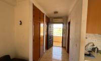 Sale - Studio - Torrevieja