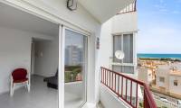 Sale - Studio - Torrevieja
