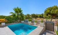 Sale - Villa - La Zenia