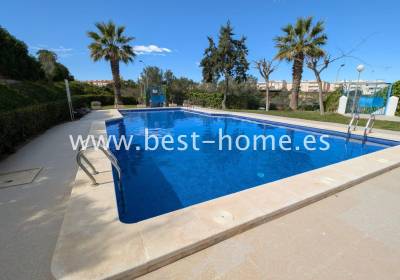 Studio - Sale - La Mata - BH13909362