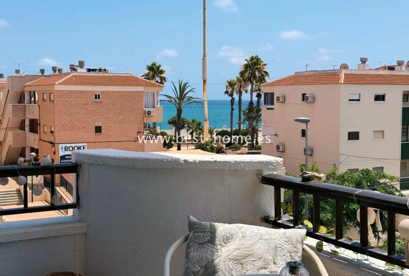 Studio - Sale - Mil Palmeras - Mil Palmeras