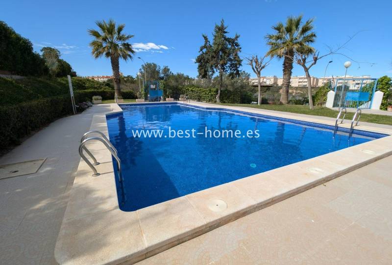 Studio - Sale - Torrevieja - Torrevieja