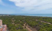 Wtórny - Apartament - Guardamar del Segura