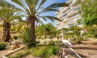 Wtórny - Apartament - La Mata