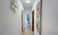 Wtórny - Apartament - Torrevieja