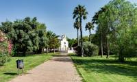 Wtórny - Apartament - Torrevieja