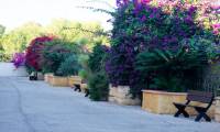 Wtórny - Apartament - Villamartin