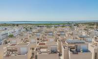 Wtórny - Dom / Willa - Ciudad Quesada