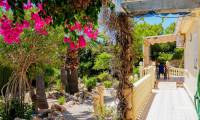 Wtórny - Dom / Willa - Torrevieja