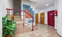 Wtórny - Kawalerka / Studio - Torrevieja