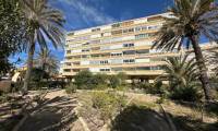 Wtórny - Penthouse - La Mata