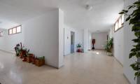 Wtórny - Penthouse - Torrevieja