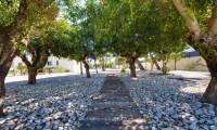 Wtórny - Posiadłość wiejska / Finca - Murcia
