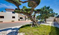 Wtórny - Posiadłość wiejska / Finca - Murcia