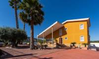 Wtórny - Posiadłość wiejska / Finca - Orihuela